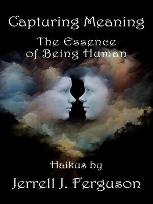 cover image of Capturing Meaning
